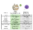 Ramie Oval Bath Scrub vs plastic scrub.webp
