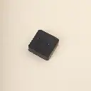 WS_2.webp