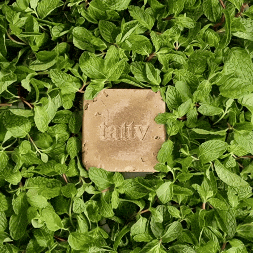 Shop Mint bathing bars online_tattv.gif